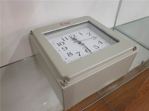 YRBSZ2010型防爆石英钟|防爆钟｜防爆表｜本安防爆钟 