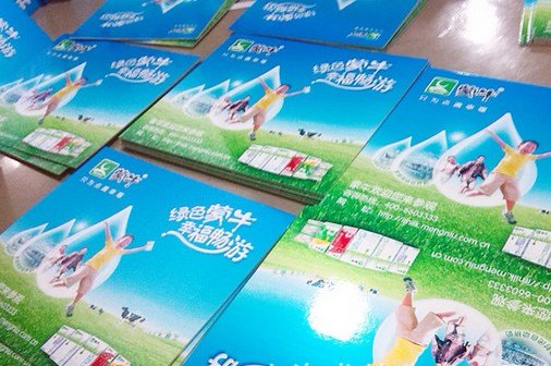 深圳西乡PP纸喷绘 车贴喷绘 高精度喷画