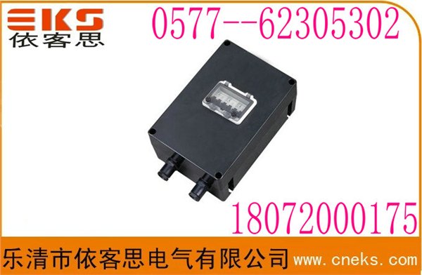 FXX51防水防尘防腐光控电源检修带漏电保护防水防腐检修箱