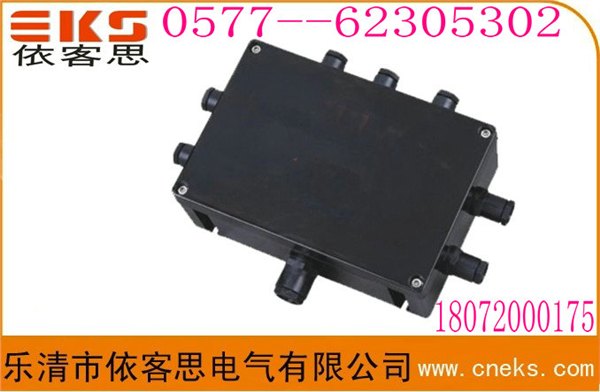 沈阳冰寒地区用接线箱    FXJ-防爆电源接线箱    