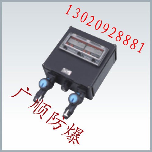浙江广顺批发BXM(D)8050防爆防腐电源插座箱