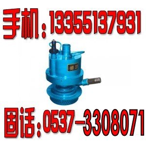 供应风动潜水泵FWQB济宁山控制造