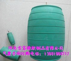 充气气囊图-充气胶囊图-充气皮囊图（气囊图片展示）