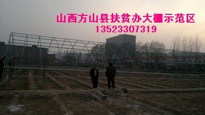 育苗温室大棚 花卉苗木种植温室大棚建设