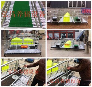 供应2.0厚新型母猪产床，养猪设备，高培分娩床，高培分娩栏