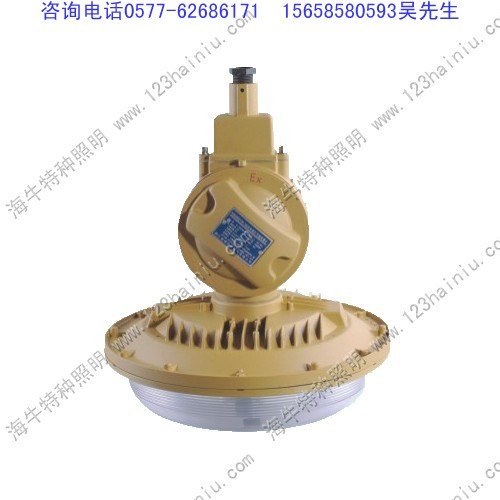 批发SBD1106免维护节能防爆灯
