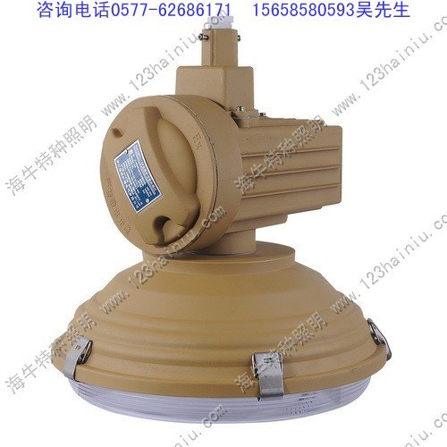 批发SBD1105免维护节能防爆灯
