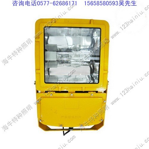 批发BFC8110 防爆泛光灯