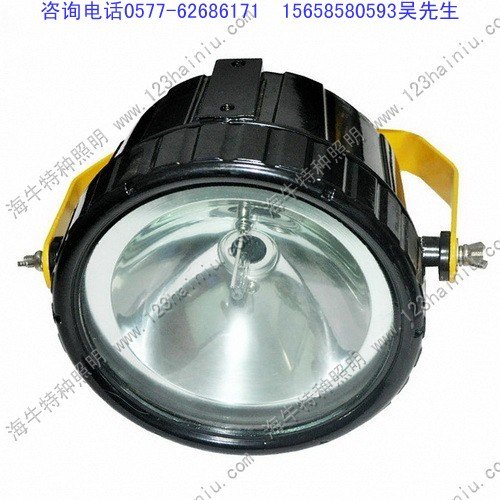 批发DGY100防爆投光灯