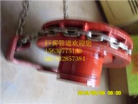链轮阀门传动装置电厂配件碳钢管件
