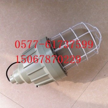防爆无极灯55W(带灯杆附件）