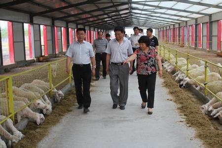 波尔山羊养殖场的防疫