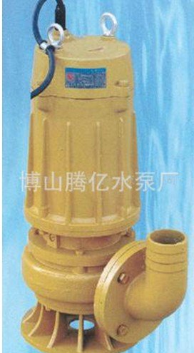 供应博耐潜污泵