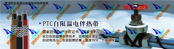 金利华公司电伴热保温安装