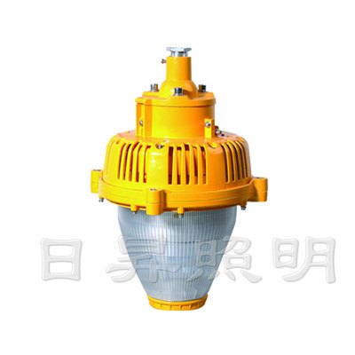 BPC8760+BPC8760BPC8760+LED防爆平台灯