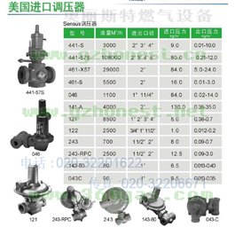 sensus减压阀 141-A高压减压阀 CNG减压阀 燃气调压器
