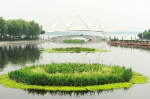直销生物浮岛