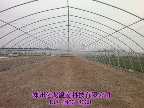 钢结构蔬菜大棚 郑州蔬菜大棚建设厂家