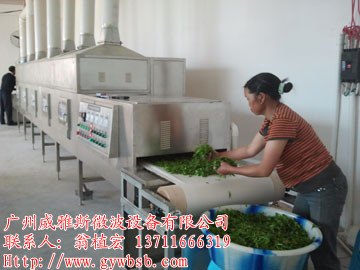 微波烘干设备