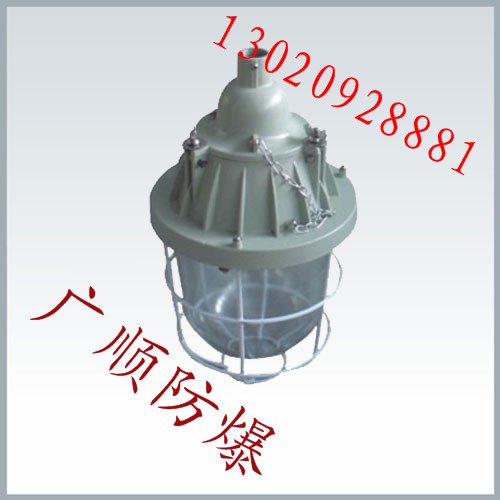 直销江苏镇江BAD5020隔爆型防爆灯（IIC）
