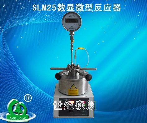 供应数显微型反应釜