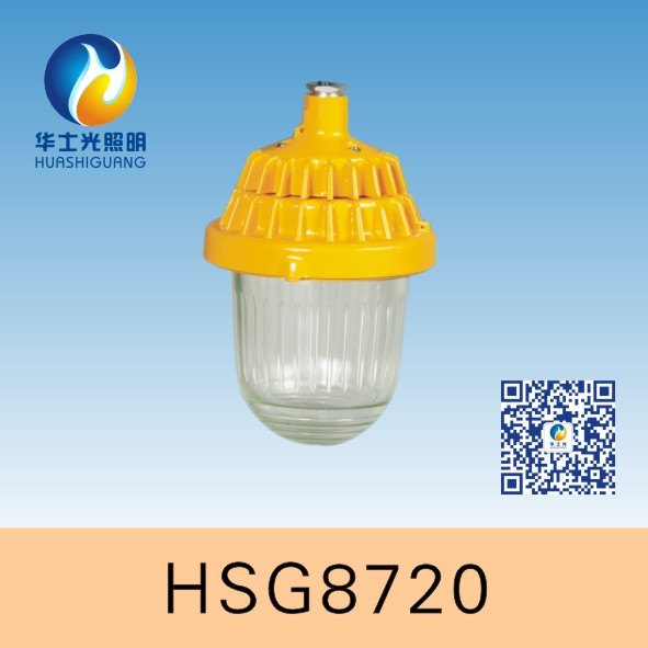 HSG8720 / BPC8720防爆平台灯 