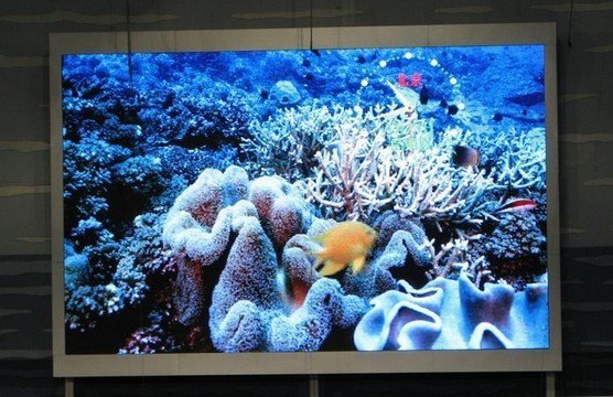 泰安LED走字屏价格 泰安LED门头屏质量