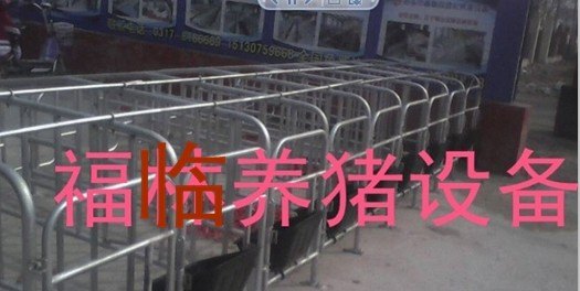 福临养猪设备  定位栏