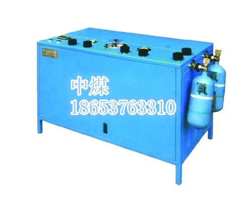 AE102A氧气充填泵