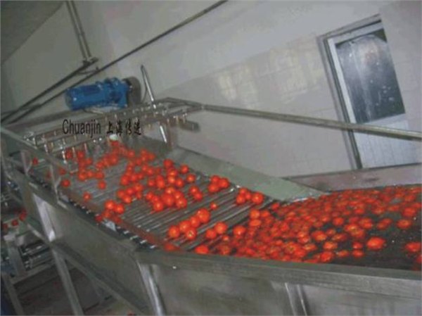 西红柿清洗机