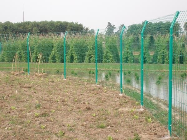 圈地围栏网、圈山围栏网、河道围栏网