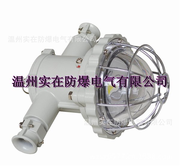 矿用隔爆型LED巷道灯、LED巷道灯、DGS矿用LED巷道灯