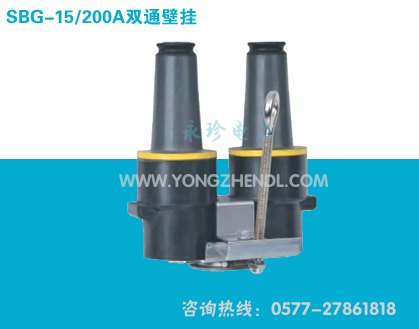 11-SBG-15-200A双通壁挂