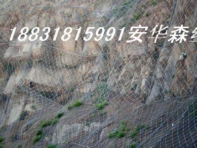 安全网|菱形勾花网|编织勾花网安华森丝网厂