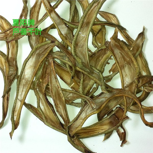 干芦荟泡水   芦荟干叶花茶的功效 芦荟烘干叶批发厂家