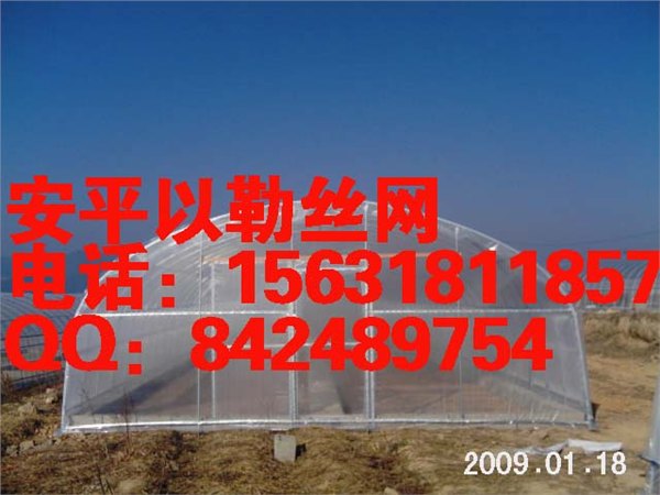 防虫网_蔬菜防虫网价格_大棚防虫网规格_安平防虫网厂家