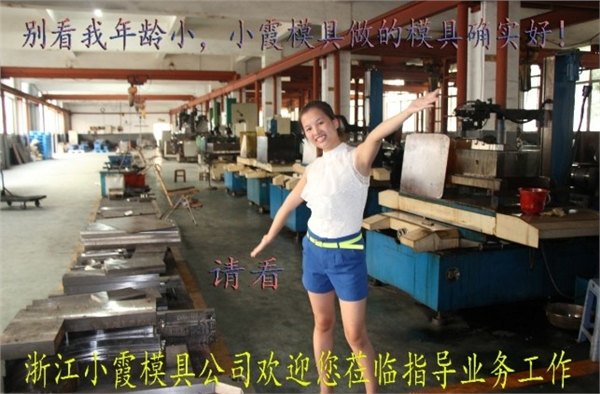 订购常用工具框模具,塑料注塑模具