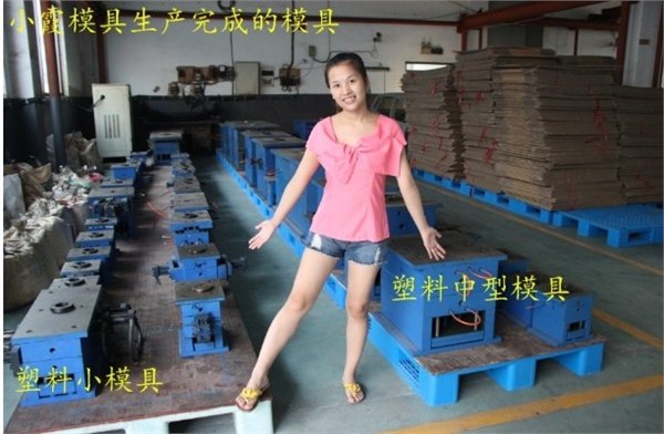 黄岩直销模具,组合篮塑料模具