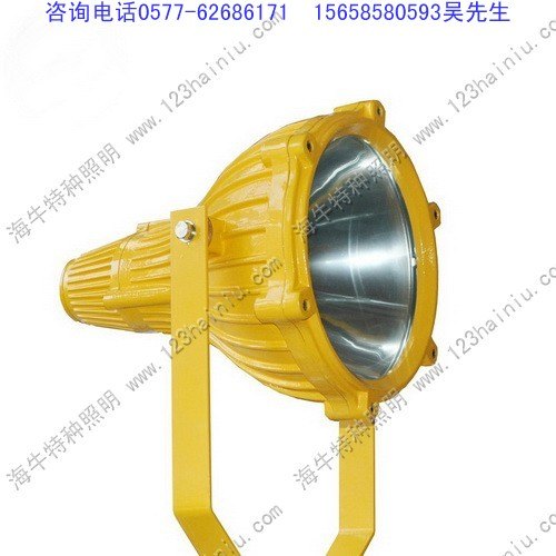 BTC8210_BTC8210防爆投光灯