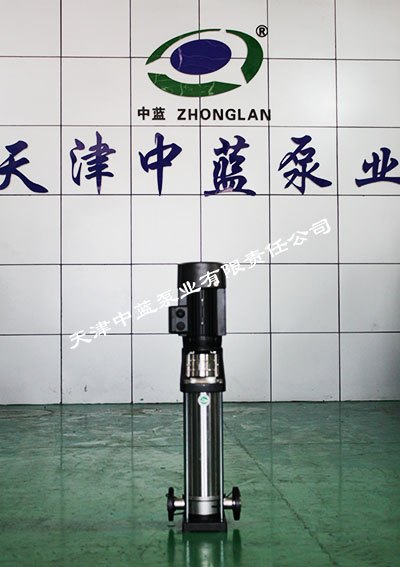 ZL350-460/250kw 水厂管道泵(图)