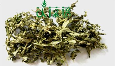 蕲艾艾葆蓓-艾草艾叶精选艾叶250g