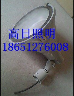 GDTG130投光灯 GDTG130投光灯、GDTG130A投光灯