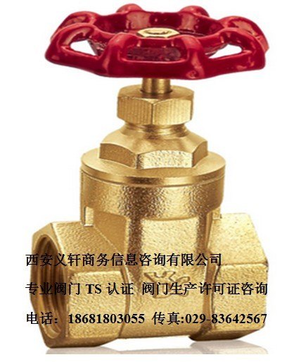 TSG认证咨询  TSG认证