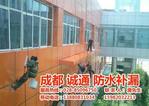 诚通环卫_专修屋顶漏水_新津专修漏水