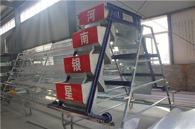 四层龙门式喂料机【银星】20年专注家禽养殖设备行业