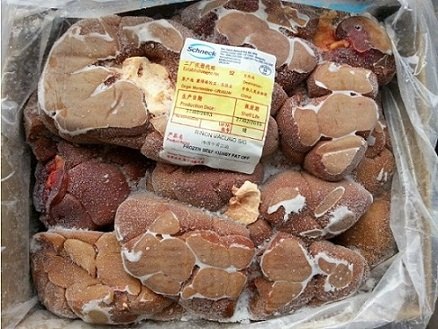 冷冻批发牛肾脏