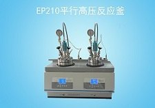 浙江大量销售EP210平行高压反应釜