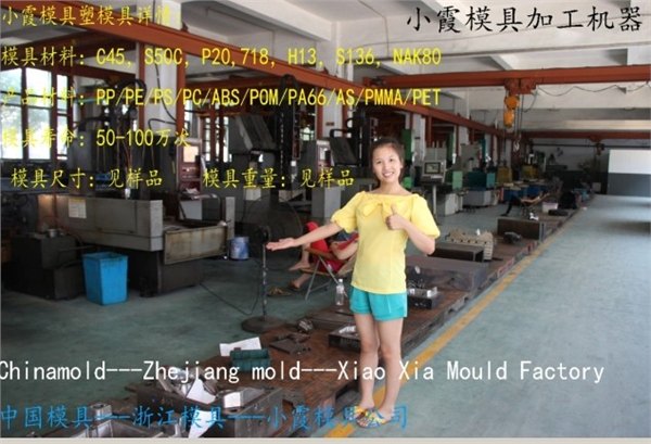 塑胶保险杠注塑模具，浙江塑料模具浙江模具公司
