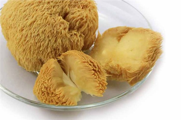 黑龙江天锦食用菌公司，生产型企业，欢迎经销和团购！