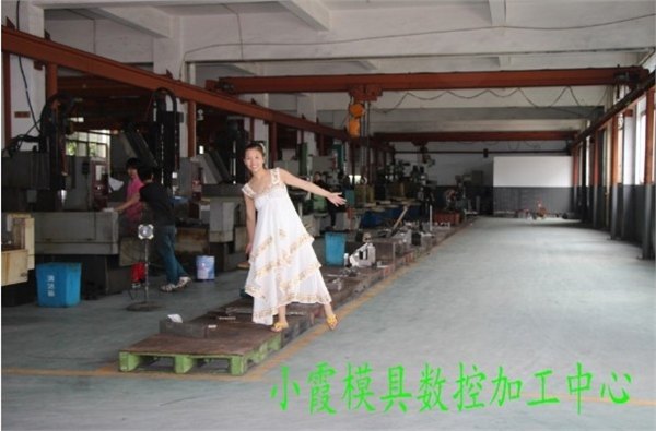 沙滩车塑胶注射模具，台州黄岩塑料模具厂